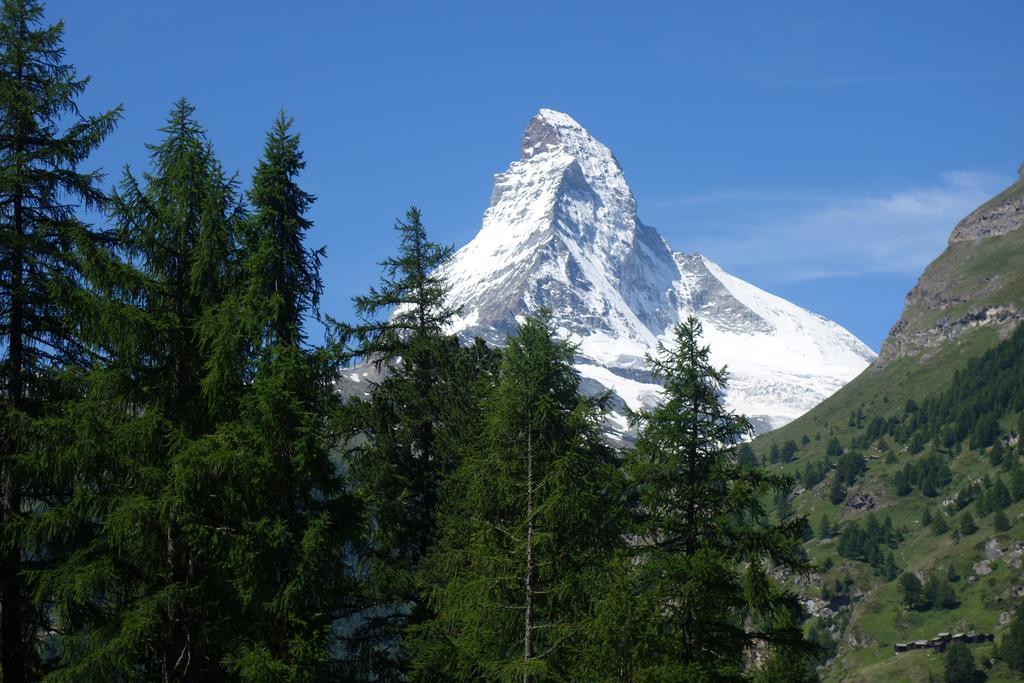 Appartement Studio Collinetta à Zermatt Chambre photo